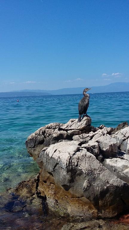 Apartman Mihael Malinska Esterno foto